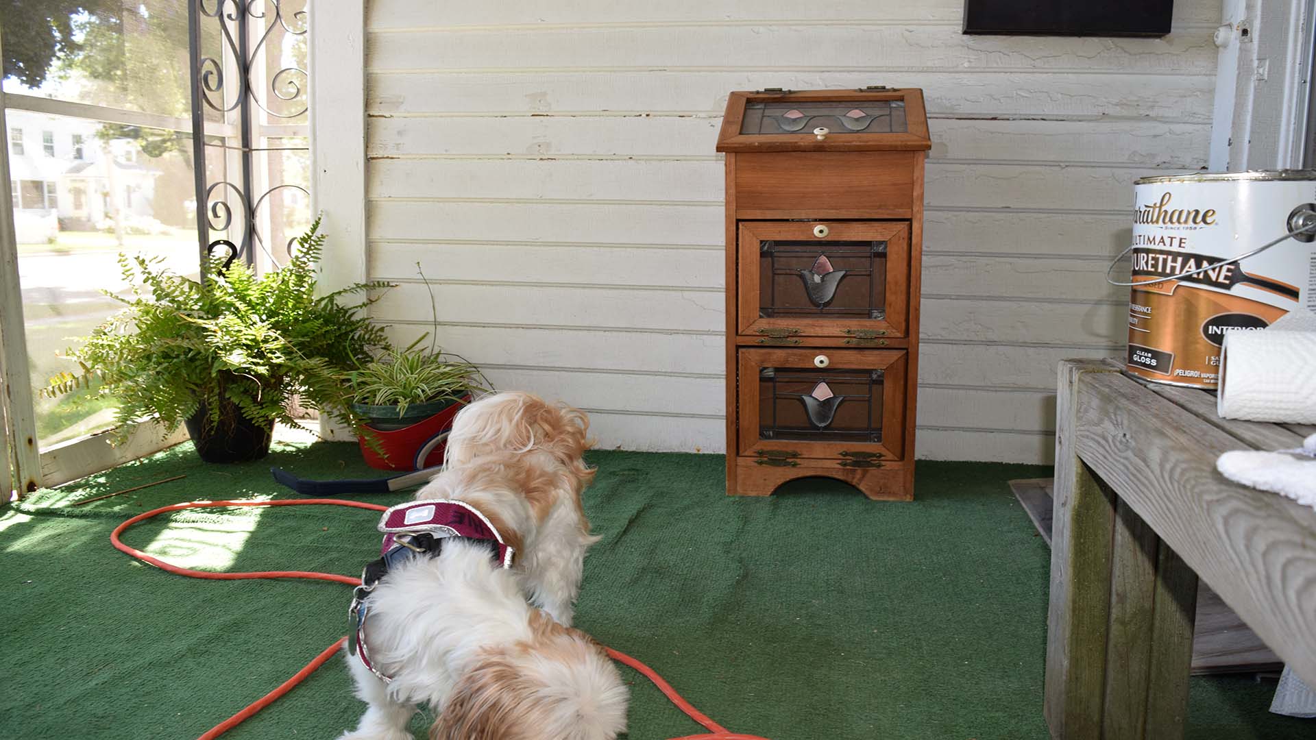 Here is outside of the front door. There is a ramp.